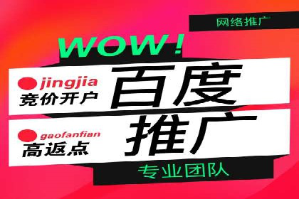百度SEM推广的ROI提升方法及案例分享